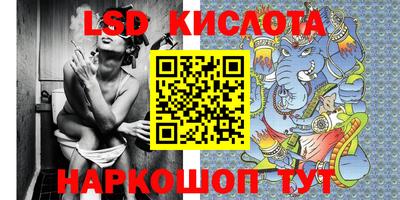 прущие крисы Новозыбков