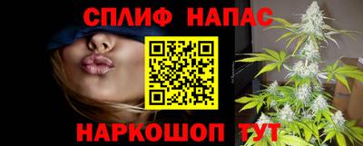 МДПВ Новодвинск