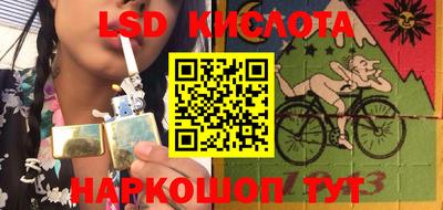 прущие крисы Новозыбков