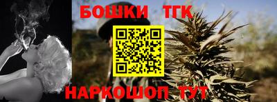 прущие крисы Новозыбков