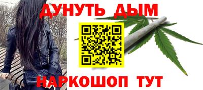 МДПВ Новодвинск