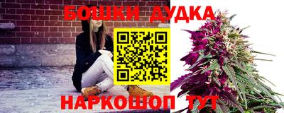 МДПВ Новодвинск