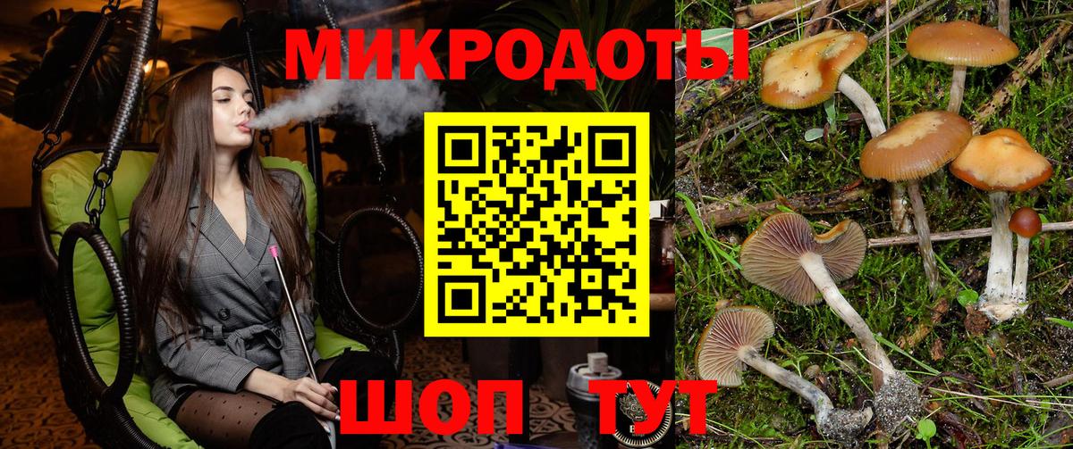 как найти наркотики  Псилоцибиновые грибы прущие грибы  Вход с VPN  Славгород  Псилоцибиновые грибы GOLDEN TEACHER 