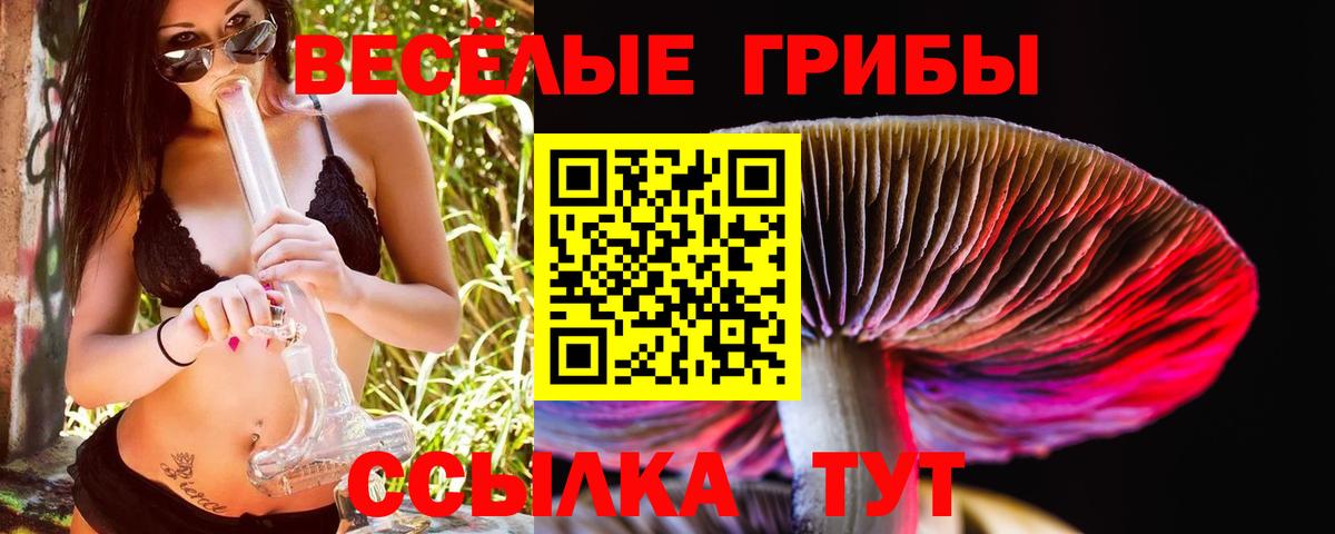 Псилоцибиновые грибы Magic Shrooms Славгород